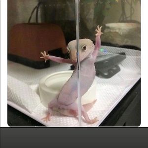 Meet your Posher, Derricka